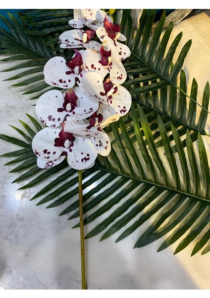 Bordo Beyaz Yapay Islak Orkide Tek Dal 88 cm fiyatları