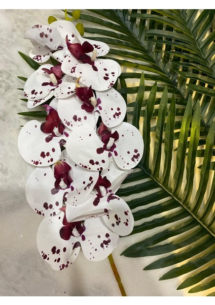 Bordo Beyaz Yapay Islak Orkide Tek Dal 88 cm modelleri