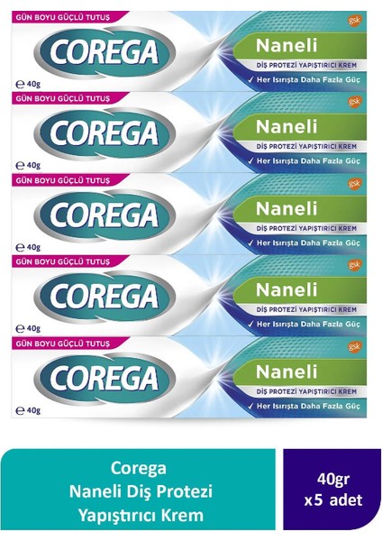 Naneli Diş Protezi Yapıştırıcı Krem 40g (5 Adet)