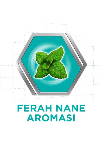 Naneli Diş Protezi Yapıştırıcı Krem 40g (5 Adet)
