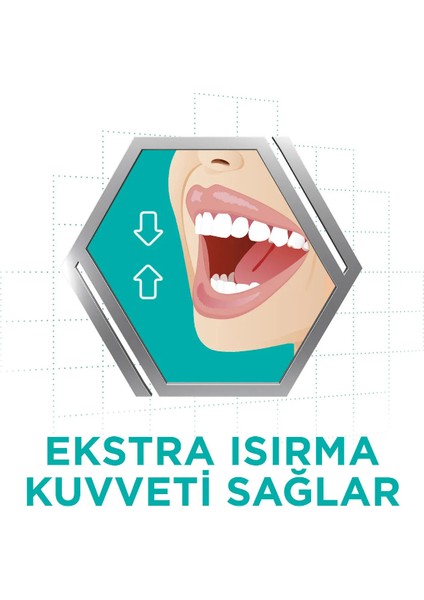 Tat Içermez Diş Protezi Yapıştırıcı Krem 40g (2 Adet)