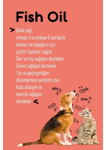 Yetişkin Kedi Sağlık Seti (Multivitamin Paste, Fish Oil, B+ Complex)