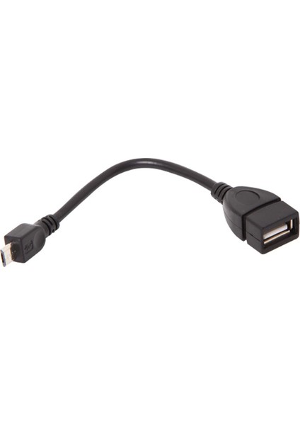 SL-HH20 HDMI F To Mini HDMI M20CM Kablo