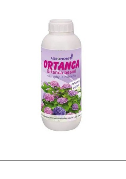 Ortanca Besini 100CC