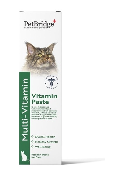 Multivitamin Paste 100 ml