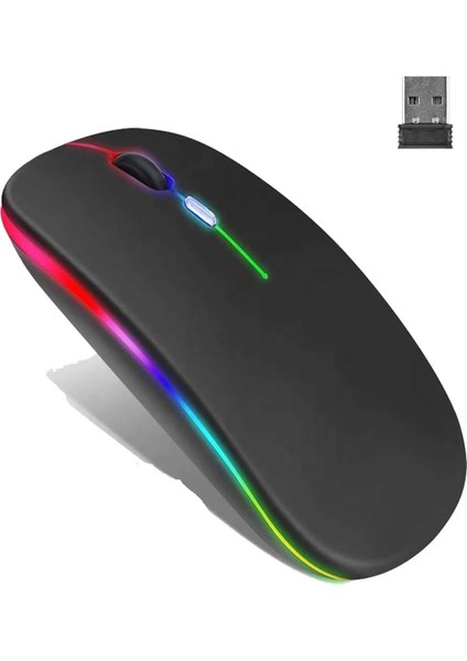 Pg 9009 Rgb Wıreless Şarjlı Mouse