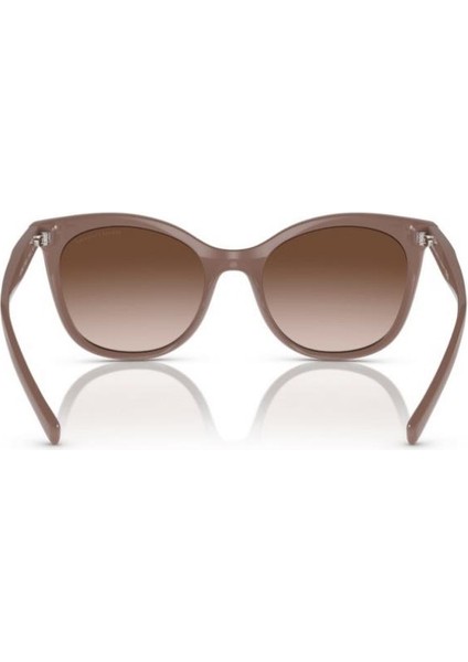 armani Exchange 0AX4094S 83421354 Hn Kadın Güneş Gözlüğü modelleri