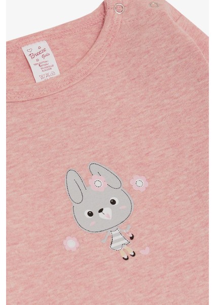 Kız Bebek Çıtçıtlı Zıbın Body Havalı Tavşancık Baskılı 9 Ay-3 Yaş, Pembe Melanj
