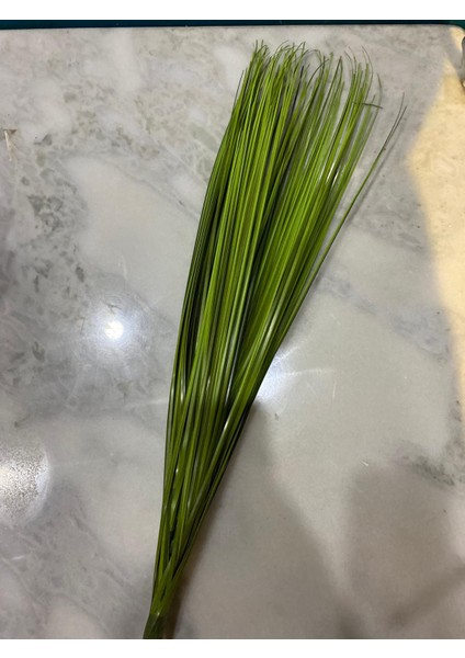 Inciraltı Yeşil Yapay Sazlık 63 cm modelleri