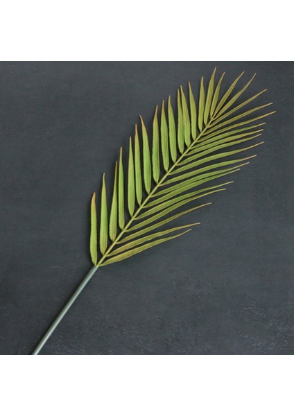 20 Adet Simülasyon Bitki Tek Şube Palmiye Yaprağı Gevşek Kuyruk Ayçiçeği Yaprağı Ev Düğün Oturma Odası Çiçekler ve Yapraklar (Yurt Dışından) fiyatları