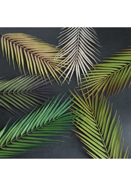 20 Adet Simülasyon Bitki Tek Şube Palmiye Yaprağı Gevşek Kuyruk Ayçiçeği Yaprağı Ev Düğün Oturma Odası Çiçekler ve Yapraklar (Yurt Dışından) fırsatları