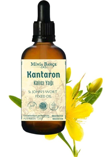 Susam Yağı, Kantaron Yağı, Çörekotu Yağı (3'lü Set) 30ML x 3 Adet
