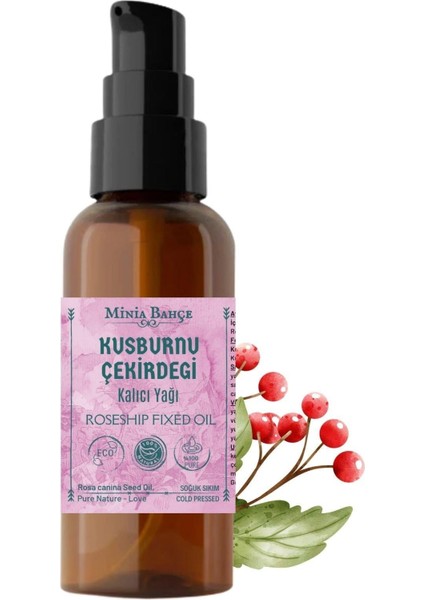 100ML Kuşburnu Çekirdeği Yağı , Aynısefa Yağı 30ML