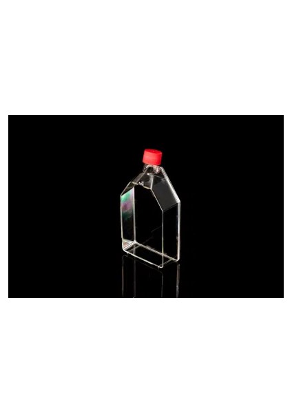 175 Cm2 Hücre Kültür Flask Vent Cap Sterile Dna Rna & Pyrogen Free (5 Adet)