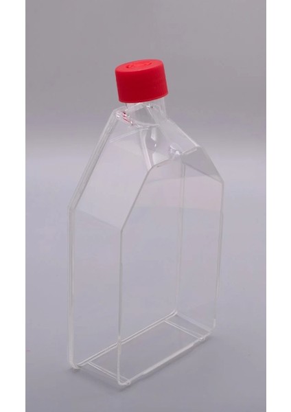 175 Cm2 Hücre Kültür Flask Vent Cap Sterile Dna Rna & Pyrogen Free (5 Adet)