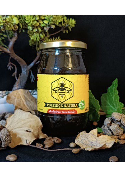 Bahar Balı 460 gr fiyatları