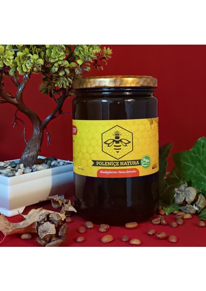 Bahar Balı 850 gr fiyatları