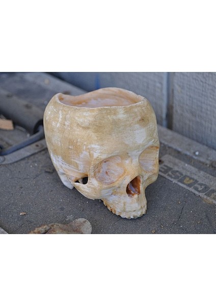 Kurukafa Kase ( 10 cm Çap )