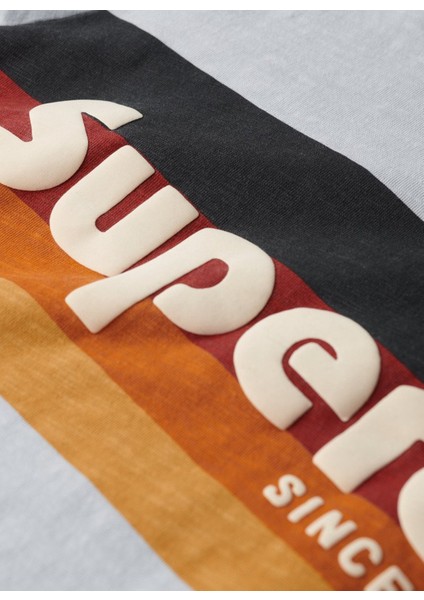 Bisiklet Yaka Baskılı Açık Mavi Erkek T-Shirt M1011904A2AD_CALI Strıped Logo T Sh fırsatları