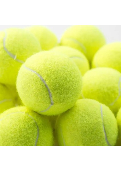 1 Adet Tarzı Profesyonel Takviyeli Kauçuk Tenis Topu Amortisör Yüksek Elastikiyet Kulüp Okul Eğitimi Için Dayanıklı Eğitim Topu (Yurt Dışından) fırsatları