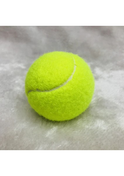 Turuncu 10 Adet Tarzı Esneklik Yumuşak Plaj Profesyonel Top Yüksek Li Eğitim Spor Kauçuk Düşük Basınçlı Tenis Tenis Topları (Yurt Dışından) indirimleri