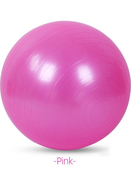 55CM Pembe Tarzı Denge Bal Pvc Fitness Topları Yoga Topu Kalınlaşmış Patlamaya Dayanıklı Egzersiz Home Gym Pilates (Yurt Dışından) fırsatları