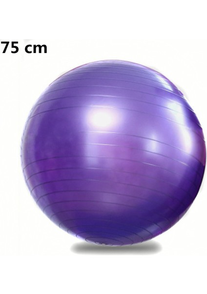 MOR75CM Tarzı Fitness Sporları Yoga Topları Bola Pilates Spor Salonu Denge Topu Egzersiz Egzersizi Spor Salonu Ev Eğitimi Masaj Dengesi Fitball Ekipmanları (Yurt Dışından)