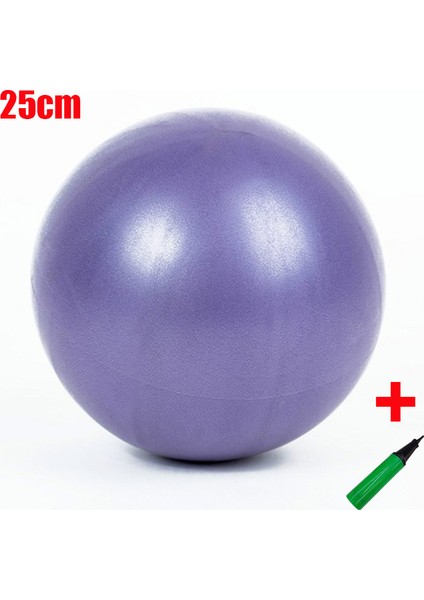 Mor Tarzı 25CM Fitness Yoga Topu Eğitimi Egzersiz Jimnastik Pilates Denge Spor Salonu Ev Eğitmeni Crossfit Çekirdek Topu Anti Stres Topu Fitball (Yurt Dışından)