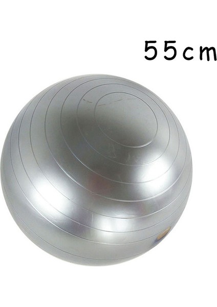 55CM Gri Stil Denge Bal Pvc Fitness Topları Yoga Topu Kalınlaşmış Patlamaya Dayanıklı Egzersiz Home Gym Pilates (Yurt Dışından)