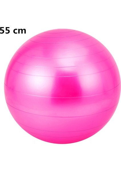PEMBE55CM Tarzı Fitness Sporları Yoga Topları Bola Pilates Spor Salonu Denge Topu Egzersiz Egzersizi Spor Salonu Ev Eğitimi Masaj Dengesi Fitball Ekipmanları (Yurt Dışından)