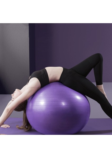 65CM Pembe Tarzı Pvc Fitness Topları Yoga Topu Kalınlaşmış Patlamaya Dayanıklı Egzersiz Home Gym Pilates Ekipmanları Denge Topu 45CMCMCMCM (Yurt Dışından)