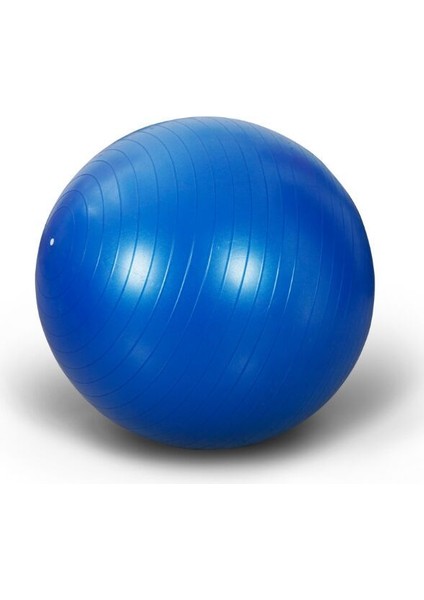 75CM Pembe Tarzı Yoga Topu 65CM Fitball Denge Topları 45CM Bola Jimnastik Egzersizi Spor Masajı Egzersizi 75CM Pilatelates 55CM Fitness Topları (Yurt Dışından)