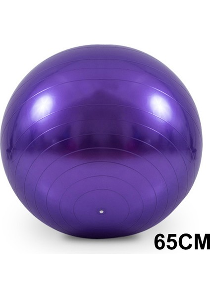 65CM-MOR Tarzı 65CMCMCM Pvc Fitness Topları Kalınlaşmış Patlamaya Dayanıklı Yoga Topları Evde Pilates Topu Egzersizi 45CMCM Yoga Balonu (Yurt Dışından)
