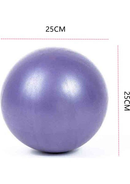 Mavi Stil 25CM Yoga Topu Patlamaya Dayanıklı Buzlu Morts Topu Pilates Topu Fitness Denge Masajı Anti-Stres Topu Egzersiz Yoga Topu (Yurt Dışından) indirimleri