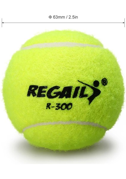 6 Adet Tarzı Örgü Çantalı Resureless Tenis Topları Tenis Topu Kauçuk Sıçrama Eğitim Uygulaması Tenis Topları Pet Oyuncak (Yurt Dışından) fırsatları