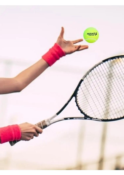 Sarı Stil Tenis Topları Spor Oyun Uygulaması Kriket Köpek Oyuncak Top Teractice Top Tenis Eğitim Topları Öğretme Topları Antrenman (Yurt Dışından) fırsatları