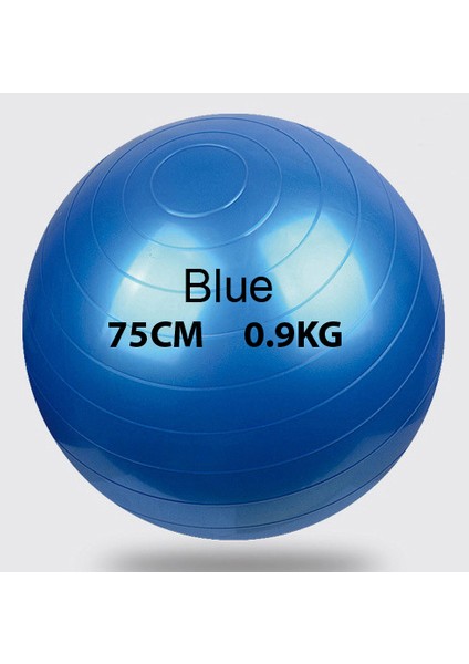 Mavi 75CM Tarzı Şişme Pilates Topları Egzersizleri Yoga Fitness Topu cm Patlama Önleyici Pilates Ekipmanları Balance Fitball Spor Balonları (Yurt Dışından)