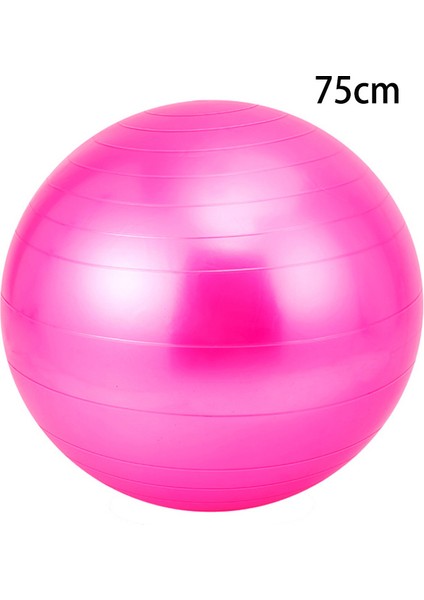 Menekşe 45CM Tarzı Yoga Topu Pilates Denge Topu Spor Salonu Ev Eğitimi Fitness Topu Yatıştırıcı Masaj Topu 55CM 65CM 75CM (Yurt Dışından) fiyatları