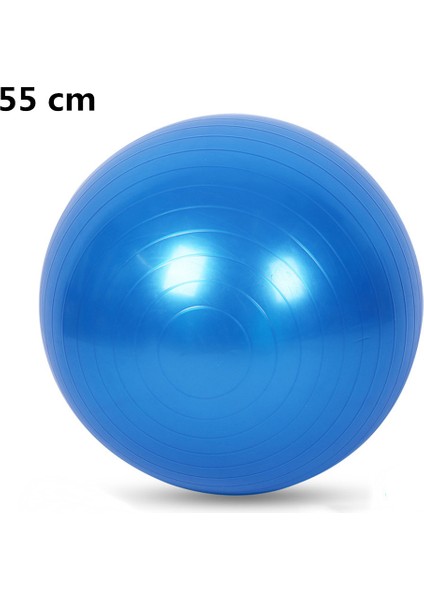 MAVI55CM Tarzı Fitness Sporları Yoga Topları Bola Pilates Spor Salonu Denge Topu Egzersiz Egzersizi Spor Salonu Ev Eğitimi Masaj Dengesi Fitball Ekipmanları (Yurt Dışından)