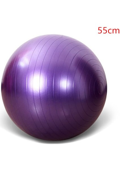 55CM Mor Tarzı Yoga Topu 65CM Fitball Denge Topları 45CM Bola Jimnastik Egzersizi Spor Masajı Egzersizi 75CM Pilatelates 55CM Fitness Topları (Yurt Dışından)
