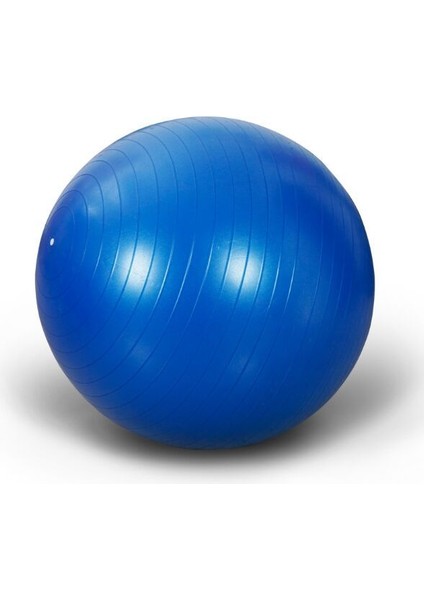 55CM Mor Tarzı Yoga Topu 65CM Fitball Denge Topları 45CM Bola Jimnastik Egzersizi Spor Masajı Egzersizi 75CM Pilatelates 55CM Fitness Topları (Yurt Dışından) modelleri