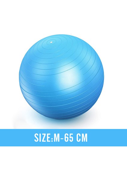 Mavi 65CM Tarzı Erkekler Anti Patlama Egzersiz Topları Spor Salonu Fit Topu Profesyonel Pilates Yoga Fitness Denge Kararlılık Topu Supportlbs (Yurt Dışından)