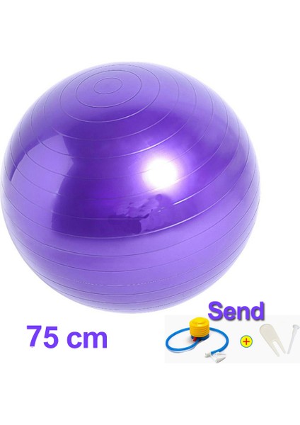 75 cm Mor Stil Apple Yoga Topu Dounts 50 x 30CM Pompa Seti ile Pilate Fitness Denge Topları Seti Masaj Topu Ev Egzersiz Topu Yoga Egzersizi (Yurt Dışından)