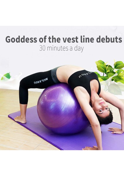75 cm Mor Stil Apple Yoga Topu Dounts 50 x 30CM Pompa Seti ile Pilate Fitness Denge Topları Seti Masaj Topu Ev Egzersiz Topu Yoga Egzersizi (Yurt Dışından) indirimleri