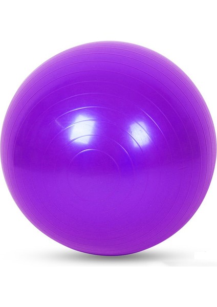 Siyah Stil Spor Yoga Topları Bola Pilates Fitness Salonu Denge Fitball Egzersiz Pilates Egzersiz Masaj Topu 25CM 45CM 55CM 65CM 75CM (Yurt Dışından) fırsatları