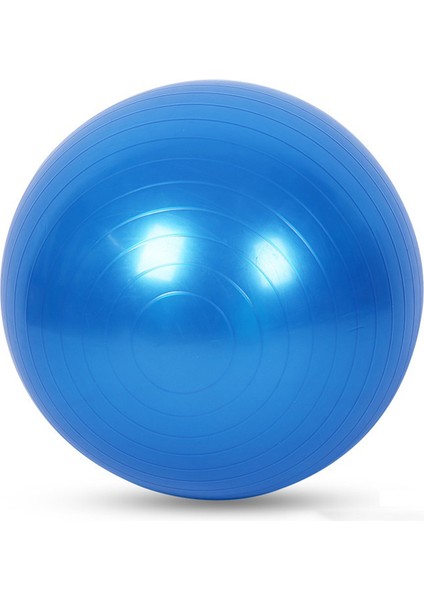 Siyah Stil Spor Yoga Topları Bola Pilates Fitness Salonu Denge Fitball Egzersiz Pilates Egzersiz Masaj Topu 25CM 45CM 55CM 65CM 75CM (Yurt Dışından) indirimleri