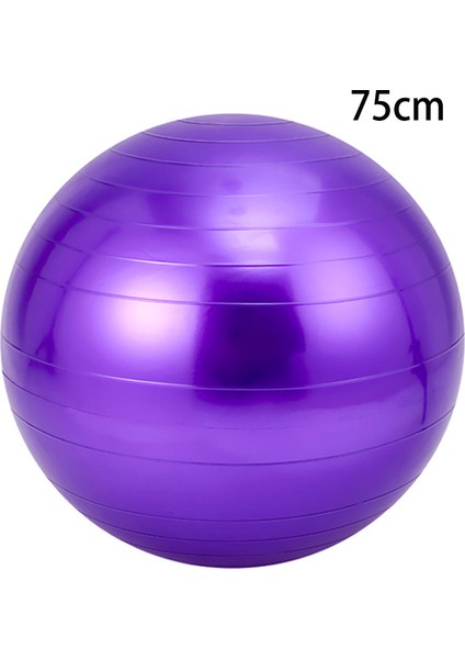 Gri 55CM Tarzı Yoga Topu Pilates Denge Topu Spor Salonu Ev Eğitimi Fitness Topu Yatıştırıcı Masaj Topu 55CM 65CM 75CM (Yurt Dışından) modelleri