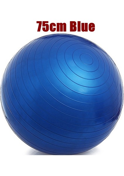 75CM Mavi Stil 55CM 65CM 75CM Yoga Topu Pvc Kalınlaştırıcı Fitness Topu Yoga Topu Pilates Topu (Yurt Dışından)