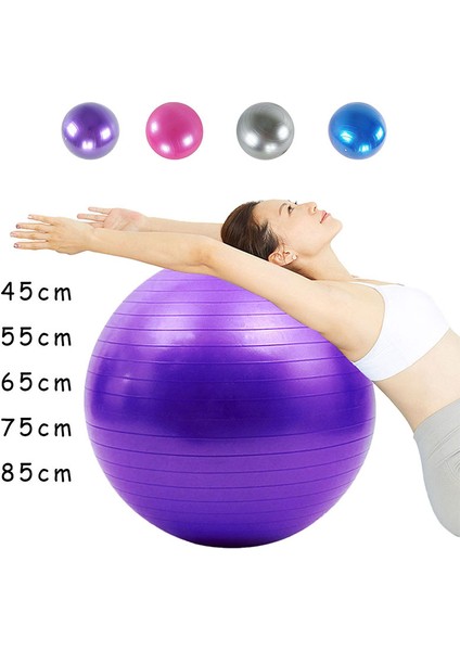 MOR-45CM Tarzı 65CM Yoga Topu Pilates Spor Isviçre Topu Yoga Denge Topu Ritmik Jimnastik Topu Gerilim Çevre Korumasına Dayanım (Yurt Dışından)