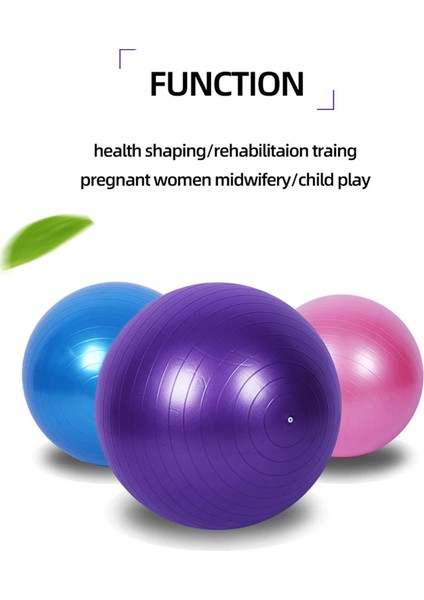 Pembe 55CM Tarzı Yoga Topu Pilates Fitness Kalınlaşmış Patlamaya Dayanıklı Egzersiz Ev Spor Salonu Denge Topu Jimnastik Egzersizi Pvc Top cm (Yurt Dışından)